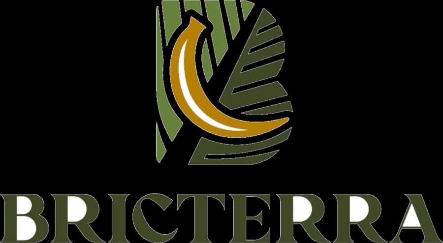 Logo BricTerra
